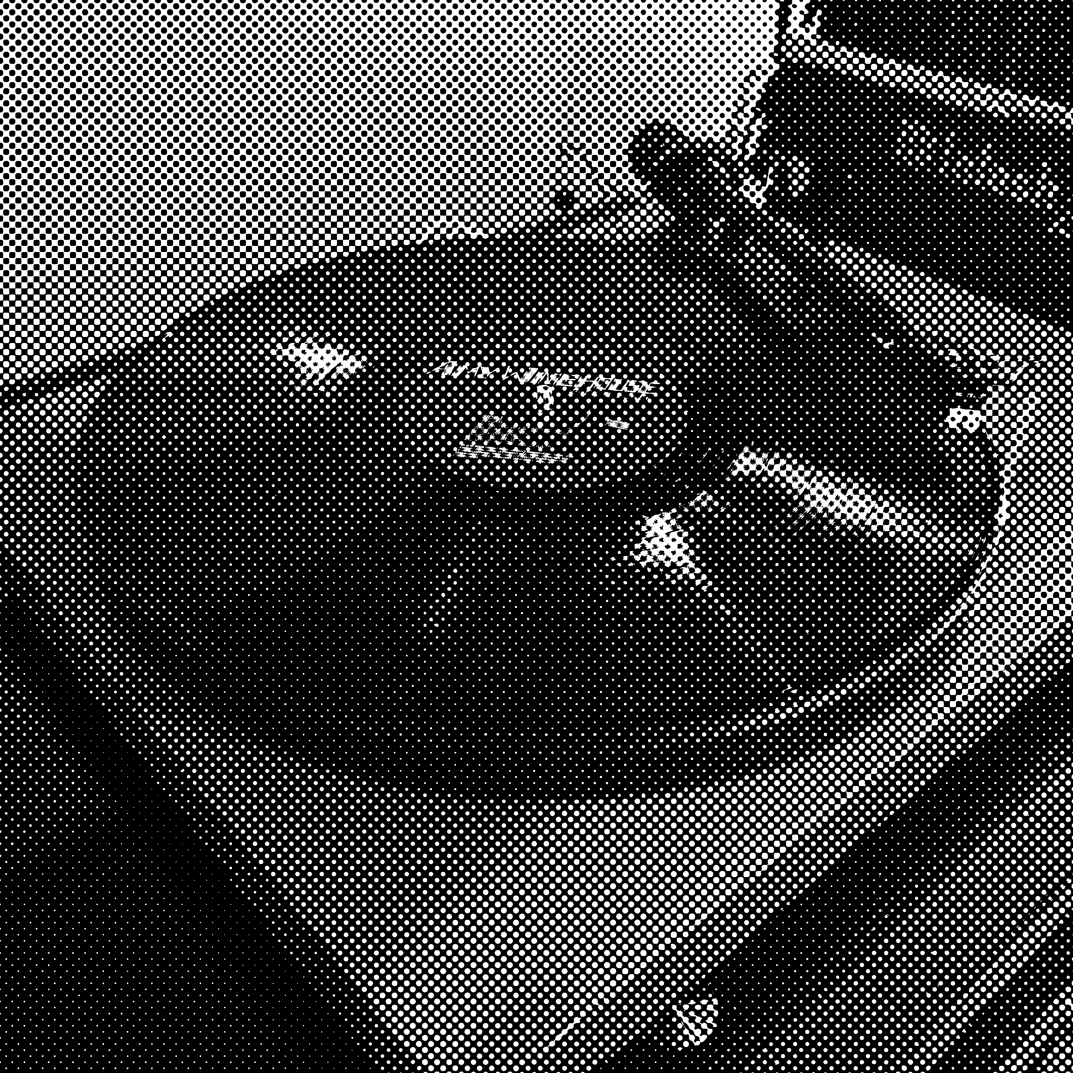 Back to Black on Vinyl - Amy Winehouse